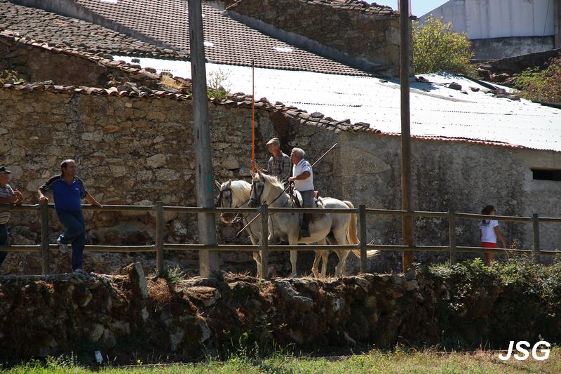 Aldeia Velha 2015 14.jpg